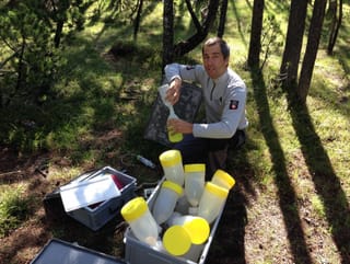 Curdin Eichholzer, guardia dal parc, prenda provas en il guaud da Stabelchod.