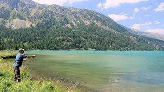 In pestgader al lai da Silvaplauna.