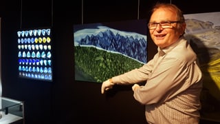 Paul Rustemeyer ha rimnà bun 350 cristals per l’exposiziun.
