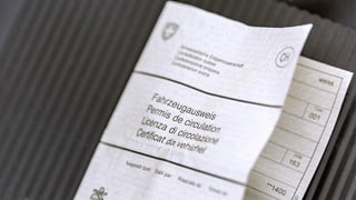 document dal vehichel.