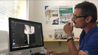 Men Bischoff analisescha la radiografia.
