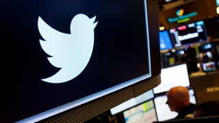 In visur cun l'utschè da twitter. 