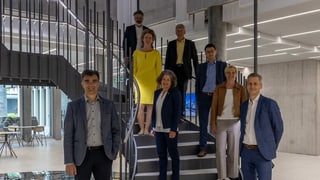 Cusseglier guvernativ Marcus Caduff, Nikolaus Schmid, Lilian Ladner, Arnold Bachmann, Maurus Blumenthal, Barbara Haller Rupf, Yvonne Brigger, Jon Erni (president).
