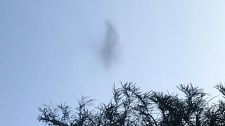 Rotschas da mustgins ins ha pudì observar tranter S-chanf e Zuoz