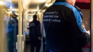 Ina controlla da la gaurdia da cunfin en il tren. Persunas anonimisadas. 
