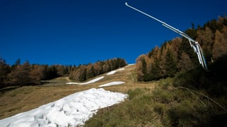 Pradas verdas cun mantuns da naiv artifiziala. 