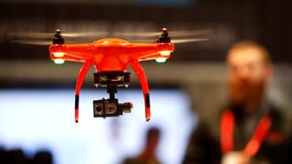 Ina da las numerusas dronas.