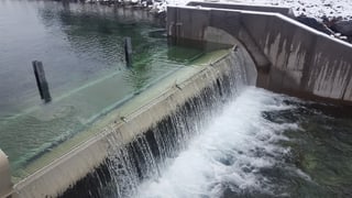 Ova da Bernina, nua che l'aua vegn enchaschada.