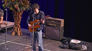 purtret da Gamboni duranti in  concert
