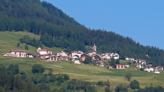 Vischnanca da Stierva. Vischnanca da Stierva.
