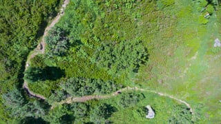 Rheinquelle Trail