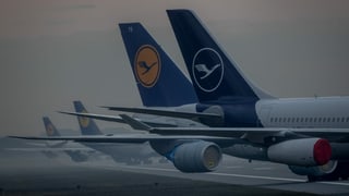 Aviuns da la Lufthansa Aviuns da la Lufthansa