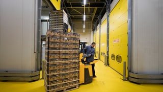 in um transporta palets cun scatlas da bananas