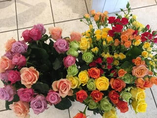 flurs, rosas