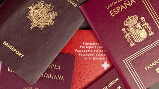 Divers pass da l'UE ed in pass da la Svizra giaschan sin maisa