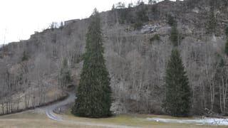 pli grond pign da la Svizra pli grond pign da la Svizra