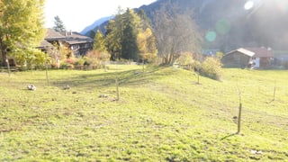 Pumera giuvna sin in prà 