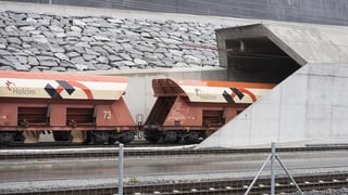 Il transport da rauba sin binari vegn tenor l'uffizi a crescher pli fitg che quel sin via.