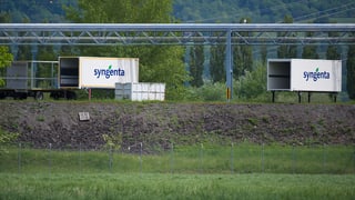 Containers da Syngenta sin in prà.