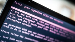 Visur da computer cun avis da l'attatga. 