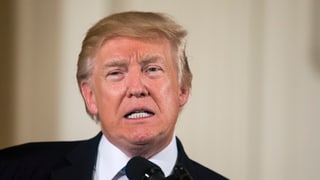 Purtret Donald Trump