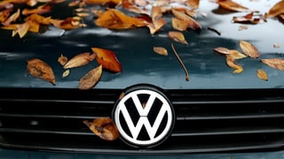 Logo da VW, e feglia sin l'uviertgel d'in auto.