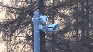 Las cameras che registreschan la temperatura dals animals Las cameras che registreschan la temperatura dals animals
