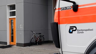 Purtret da l'isch da la mosche ch'è serrà. 