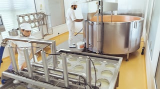 Producziun da chaschiel