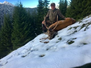 Sin il Cuolm Selvadi sur Pitasch ha Hans Cadetg sajettà in tschierv dad otg.