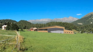 La ova stalla, fotomontascha, sin il prà verd.