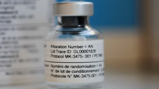Medicament cunter cancer