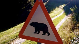 Ina tabla che avertescha avant l'urs. 