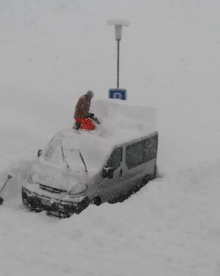 A Vignogn vegnan ins entant sin 75 fin 80cm naiv.