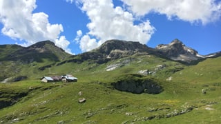 Il maletg mussa las alps tut verdas cun la vista sin l'Alp Dadens sin territori da Vuorz
