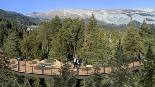 Ina visualisaziun da la senda da tschimas a Laax.