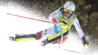 Skiunza svizra.