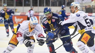 HCD - EV Zug