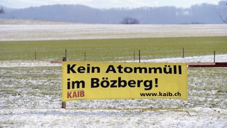 prà verd cuvert in zic cun naiv, entamez ina bandiera «Kein Atommüll im Bözberg»
