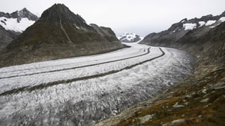 Glatscher Aletsch.
