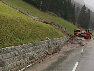 Bova pitschna en Val Medel.