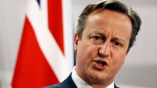 primminister britannic david cameron