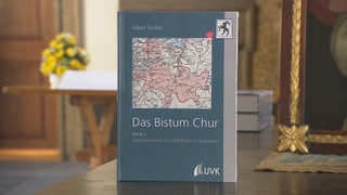 Il cudesch davart 200 onns uvestgieu da Cuira. Il cudesch davart 200 onns uvestgieu da Cuira.