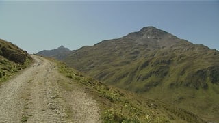 Via veglia sur l'Alpsu
