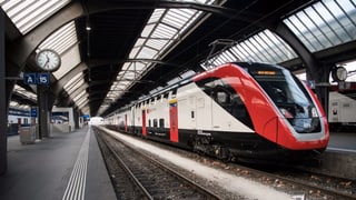 Purtret d'in tren a la staziun principala da Turitg. 