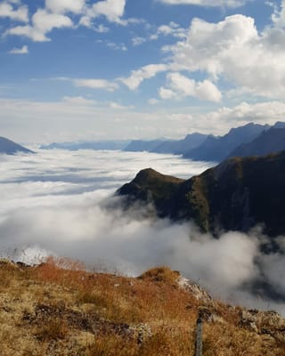 panorama.