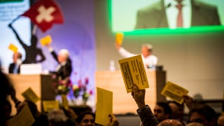Votaziun dals delegads da la PPS en il Vallais - 248 delegads èn stads cunter il referendum e mo 5 persuenter.