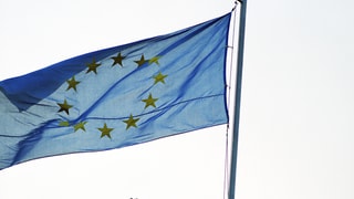 Bandiera UE