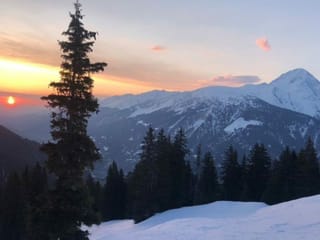 Cotschen da la saira.