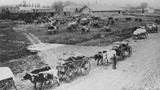 Gronda emigraziun il 1880 en USA.